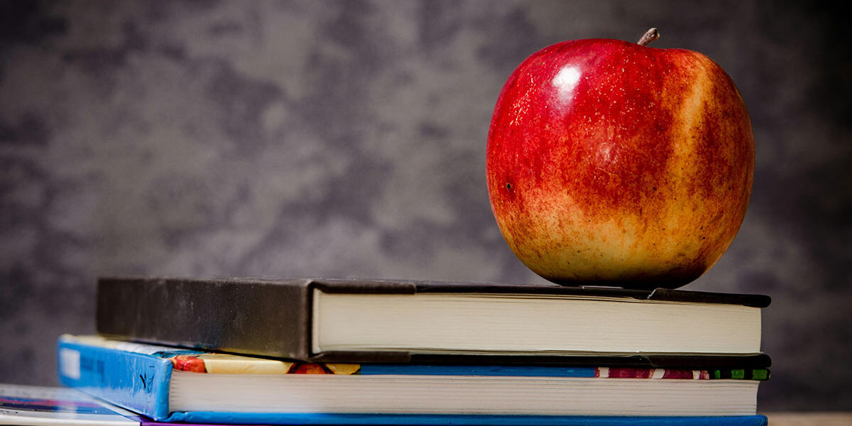 ošsestreradović_hero-img3